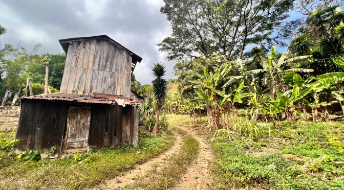 FincaLaindependencia1