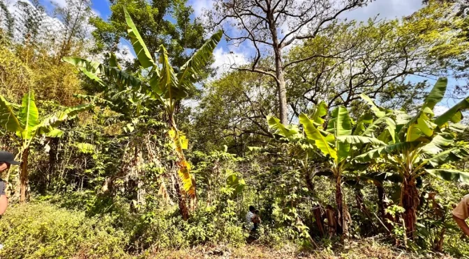 Fincalaindependencia2